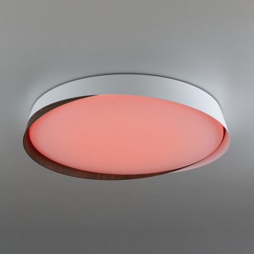 Накладной светильник Citilux BONNY CL754450G фото 8