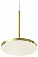 Подвесной светильник Maytoni Technical Plato P076PL-L12W4K-BS
