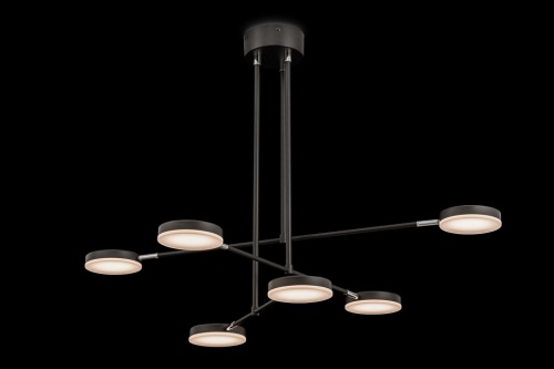 Светильник на штанге Maytoni Fad MOD070PL-L38B3K фото 3