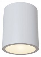 Накладной светильник Maytoni Technical Conik gyps C001CW-01W