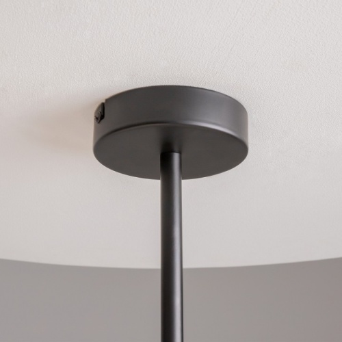 Люстра на штанге Maytoni Memory MOD177PL-04B фото 4