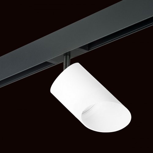 Светильник на штанге Lightstar Rullo PRO348686 фото 2 Светильник на штанге Lightstar Rullo PRO348686 фото 2