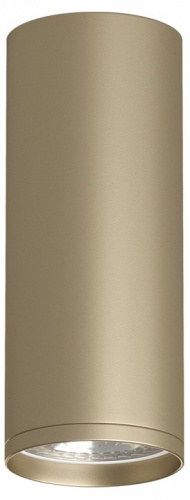 Накладной светильник Denkirs TUBE DK2051-SG Накладной светильник Denkirs TUBE DK2051-SG