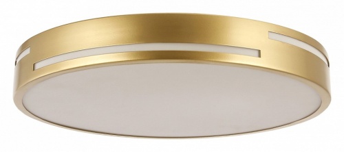 Накладной светильник F-promo Pall 2745-2C Накладной светильник F-promo Pall 2745-2C
