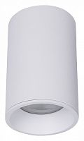 Накладной светильник Maytoni Technical Zoom C029CL-01-S-W