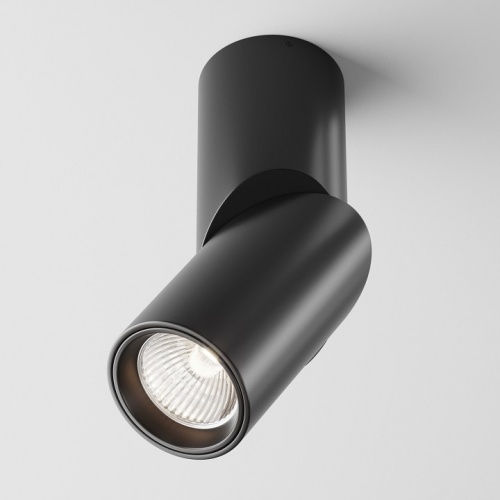 Светильник на штанге Maytoni Technical Dafne C027CL-L10B4K фото 2 Светильник на штанге Maytoni Technical Dafne C027CL-L10B4K фото 2