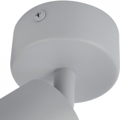 Спот Arte Lamp Aquarius A3216PL-1GY фото 3