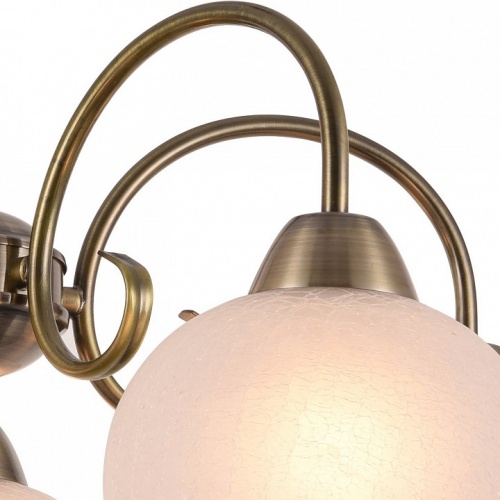 Подвесная люстра Arte Lamp MARGO A9317LM-5AB фото 3 Подвесная люстра Arte Lamp MARGO A9317LM-5AB фото 3