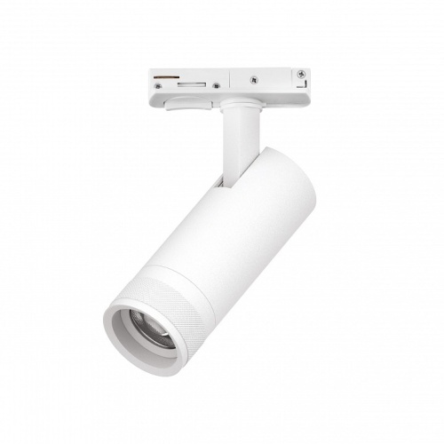Светильник на штанге Lightstar Canno Pro C4126SS фото 2