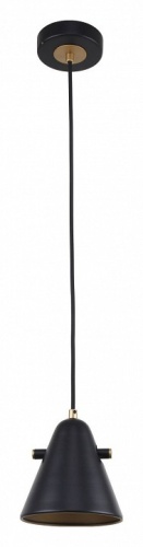 Подвесной светильник F-promo Rigor 2844-1P фото 2 Подвесной светильник F-promo Rigor 2844-1P фото 2