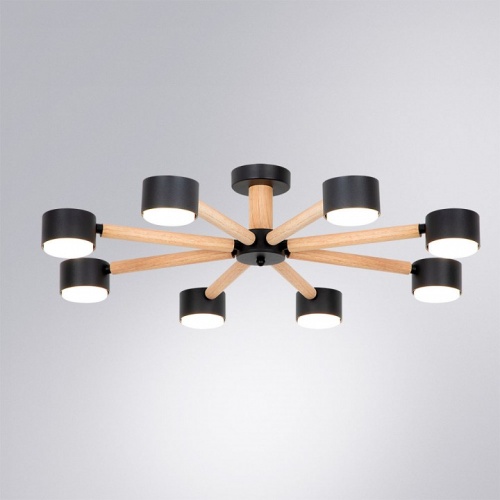 Потолочная люстра Arte Lamp TENDA A1624PL-8BK фото 2