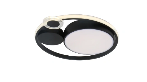 Потолочный светильник Arte Lamp STOCKHOLM A2690PL-1BK Потолочный светильник Arte Lamp STOCKHOLM A2690PL-1BK