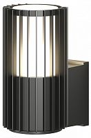 Светильник на штанге Denkirs Farsun DK9722-BK