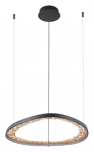 Подвесная люстра Arte Lamp CINTA A1847SP-36BK фото 2 Подвесная люстра Arte Lamp CINTA A1847SP-36BK фото 2