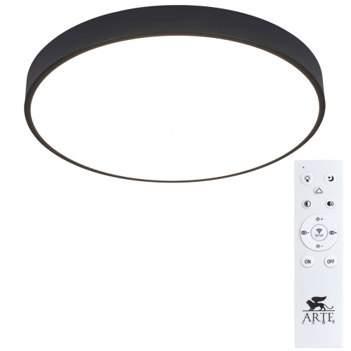 Потолочный светильник Arte Lamp ARENA A2672PL-1BK Потолочный светильник Arte Lamp ARENA A2672PL-1BK