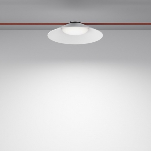 Подвесной светильник Maytoni Technical Campana TR127B-12W4K-W фото 2