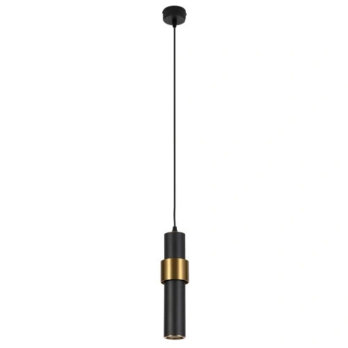 Точечный подвесной светильник ARTE LAMP RAN A3144SP-1BK
