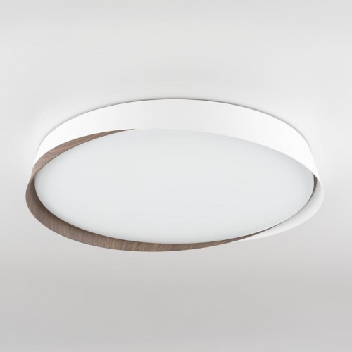 Накладной светильник Citilux BONNY CL754450G фото 3
