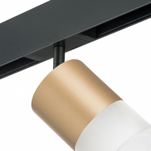 Светильник на штанге Lightstar Rullo PRO349081 фото 3