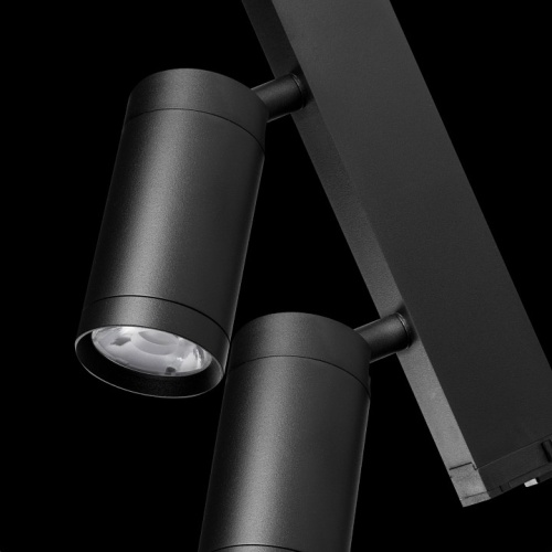 Светильник на штанге Lightstar Teta 205507 фото 3