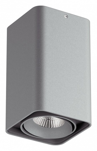 Накладной светильник Lightstar Monocco 052139-IP65 Накладной светильник Lightstar Monocco 052139-IP65