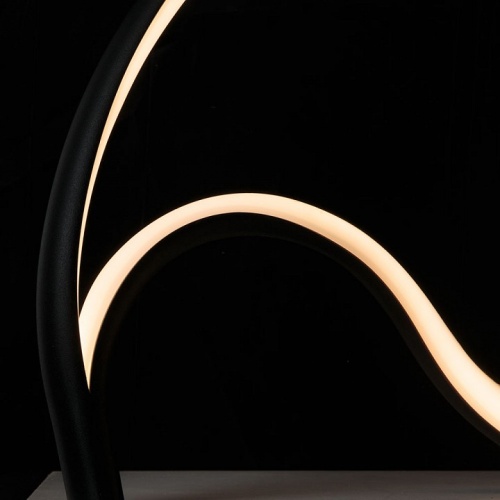 Декоративная настольная лампа Arte Lamp HYPERBOLA A1987LT-12BK фото 3
