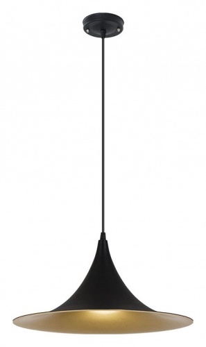 Подвесной светильник Arte Lamp CARMEL A7080SP-1BK фото 2