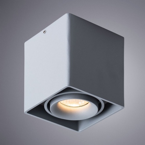 Накладной светильник Arte Lamp Pictor A5654PL-1GY фото 2 Накладной светильник Arte Lamp Pictor A5654PL-1GY фото 2