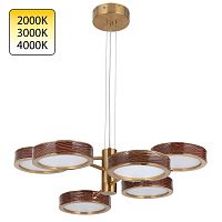 ODEON LIGHT EXCLUSIVE 5450/99LB L-VISION ODL_EX26 019 коричневый/античная бронза/металл/керамика/акрил Люстра LED 99W 2000К/3000K/4000K RIVIERA