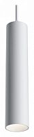 Подвесной светильник Maytoni Technical Focus LED TR016-2-12W4K-W