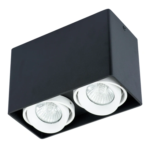 Точечный накладной светильник Arte Lamp PICTOR A5655PL-2BK Точечный накладной светильник Arte Lamp PICTOR A5655PL-2BK