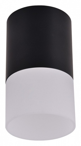 Накладной светильник Favourite Naram 3070-1C Накладной светильник Favourite Naram 3070-1C