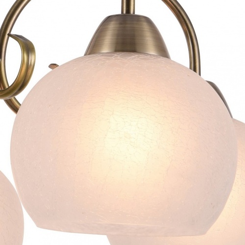 Подвесная люстра Arte Lamp MARGO A9317LM-5AB фото 2 Подвесная люстра Arte Lamp MARGO A9317LM-5AB фото 2