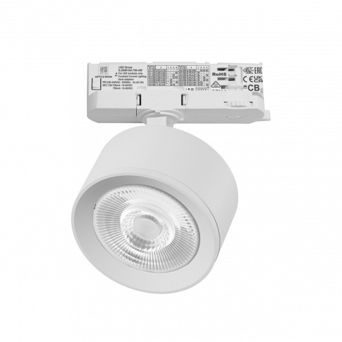 Светильник на штанге Lightstar Alta Pro A5546QT60G фото 2