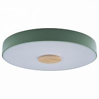 Накладной светильник Loft it Axel 2 10003/24 Green