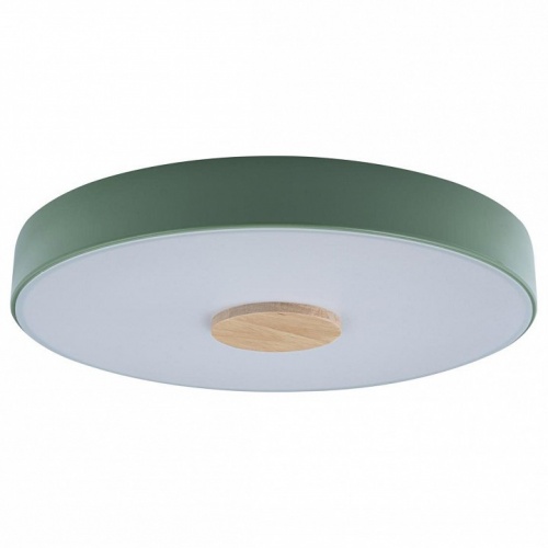 Накладной светильник Loft it Axel 2 10003/24 Green Накладной светильник Loft it Axel 2 10003/24 Green