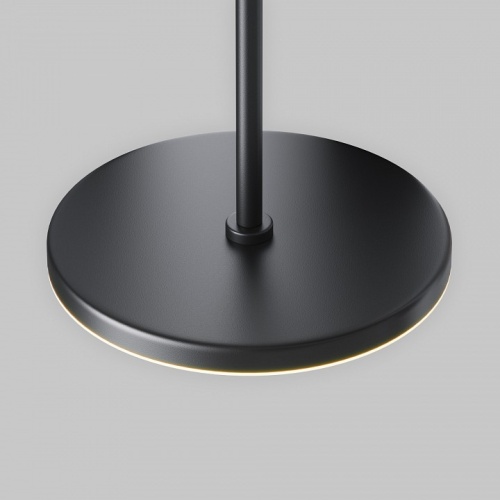 Подвесной светильник Maytoni Technical Plato P076PL-L12W3K-B фото 6