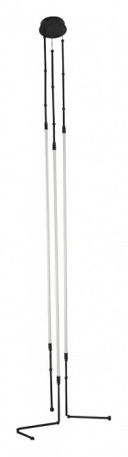 Подвесная люстра Arte Lamp KLIMT A2850SP-38BK фото 2 Подвесная люстра Arte Lamp KLIMT A2850SP-38BK фото 2