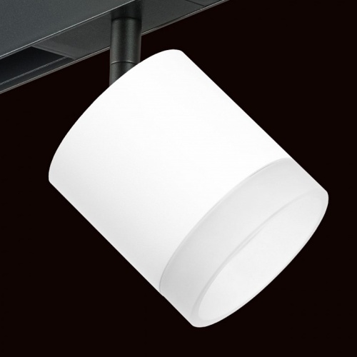 Светильник на штанге Lightstar Rullo PRO348680 фото 4