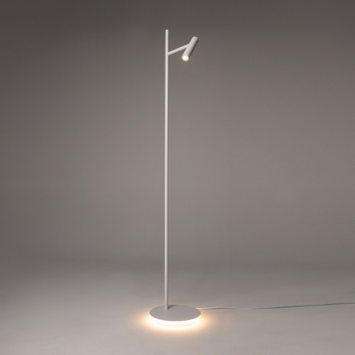 Торшер Maytoni Estudo Z010FL-L8W3K фото 3
