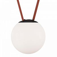 Накладной светильник Denkirs BELTY ORB DK5553-BK