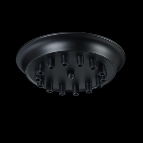 Основание для потолочного светильника Maytoni Dakota T455-14-BASE фото 2 Основание для потолочного светильника Maytoni Dakota T455-14-BASE фото 2