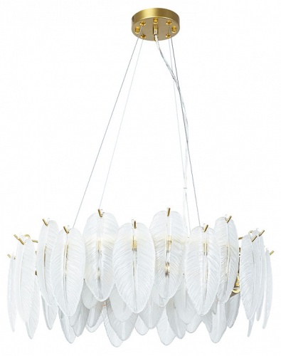 Подвесная люстра Arte Lamp EVIE A4052SP-8SG фото 2