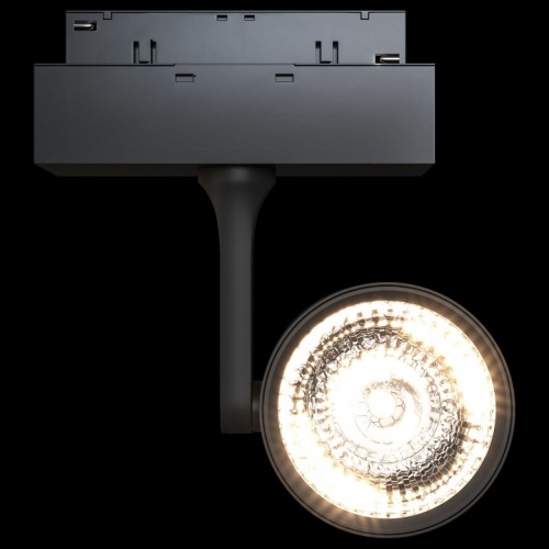 Светильник на штанге Maytoni Track lamps 3 TR024-2-10B3K фото 3