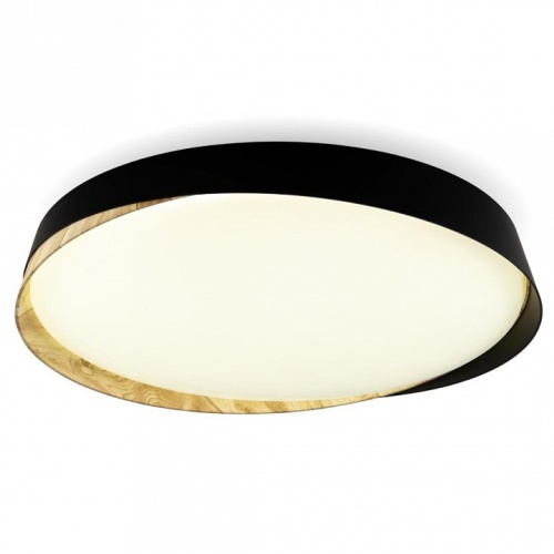 Накладной светильник Citilux BONNY CL754451G Накладной светильник Citilux BONNY CL754451G