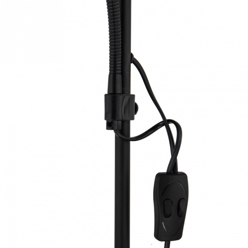 Торшер с подсветкой Arte Lamp Duetto A9569PN-2BK фото 3
