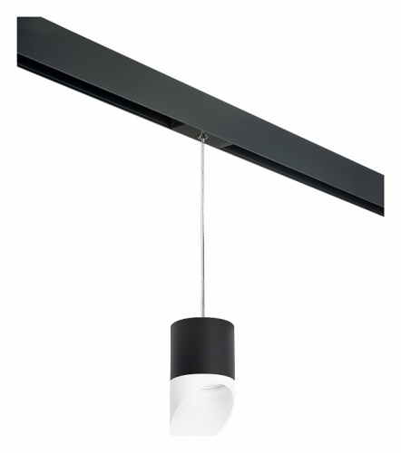 Подвесной светильник Lightstar Rullo PRORP348786 Подвесной светильник Lightstar Rullo PRORP348786