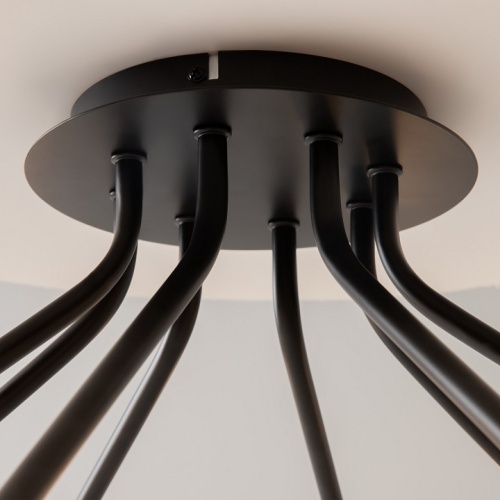 Потолочная люстра Maytoni Vigo MOD620CL-16B фото 10