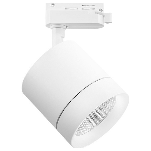 Светильник на штанге Lightstar Canno 301262 Светильник на штанге Lightstar Canno 301262