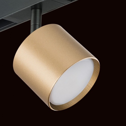 Светильник на штанге Lightstar Rullo PRO3490 фото 4